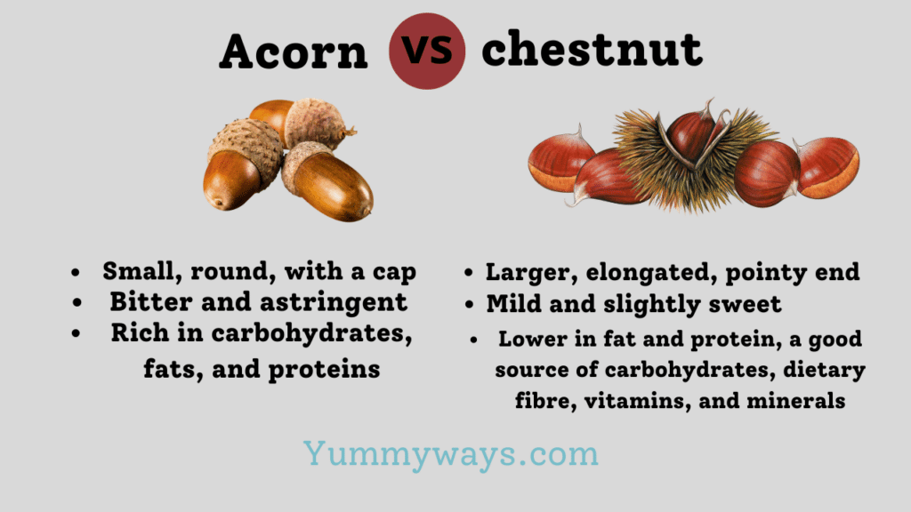 Acorn vs Chestnut