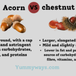 Acorn vs Chestnut