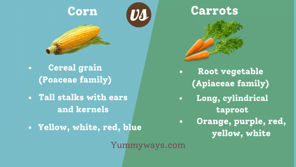 Corn vs Carrots