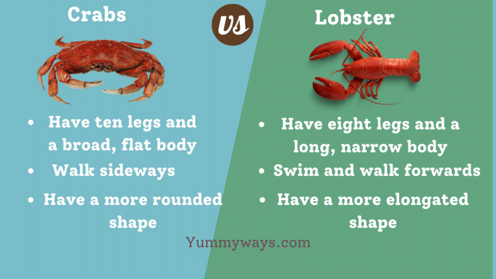 Crabs vs Lobster