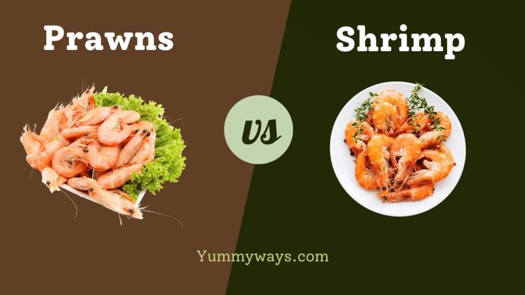 Prawns vs Shrimp