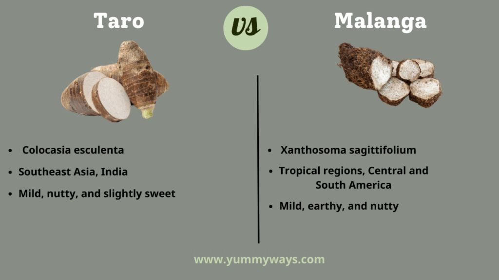 Taro vs Malanga
