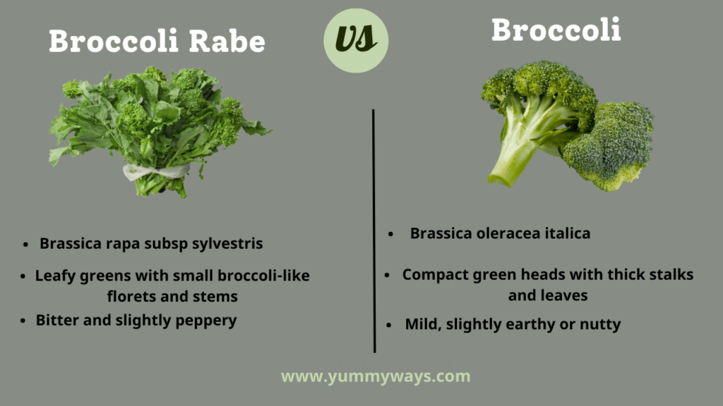 Broccoli Rabe vs Broccoli