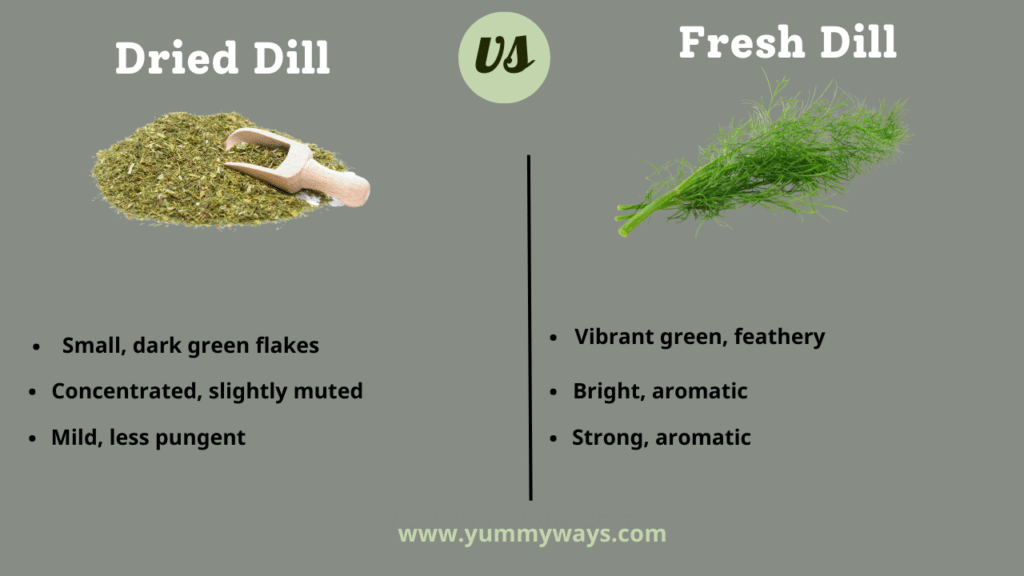 Dried Dill vs Fresh Dill