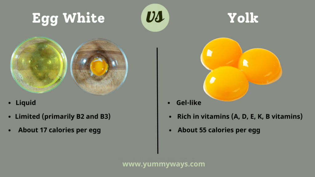Egg White vs Yolk