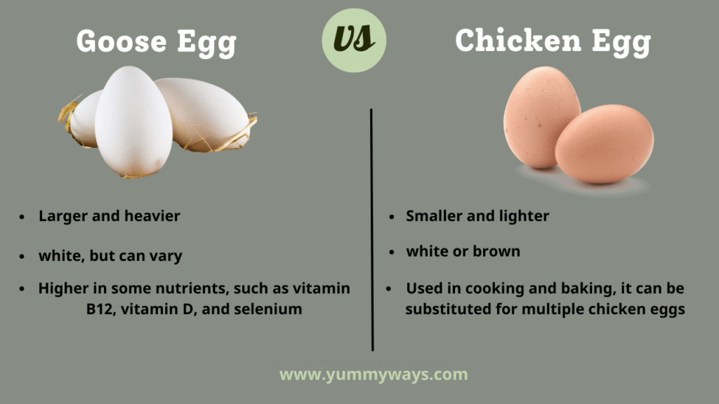 Goose Egg Vs Chicken Egg