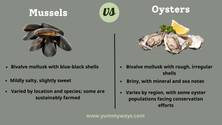 Mussels vs Oysters