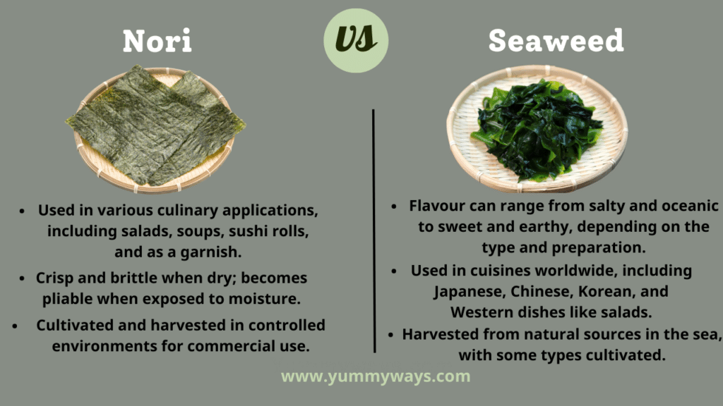Nori vs Seaweed