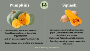 Pumpkins vs Squash