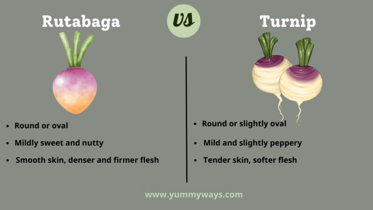 Rutabega vs Turnip