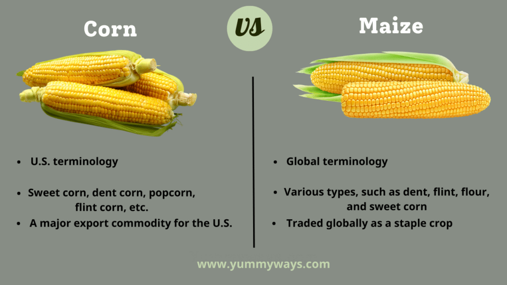Corn vs Maize