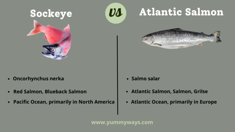 Sockeye vs Atlantic Salmon