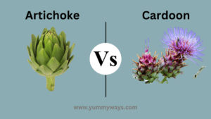 Artichoke vs Cardoon