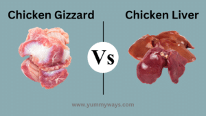 Chicken Gizzard vs Liver