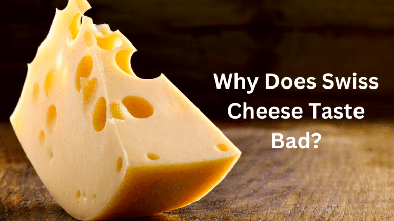 Why Does Swiss Cheese Taste Bad Uncover the Mystery!